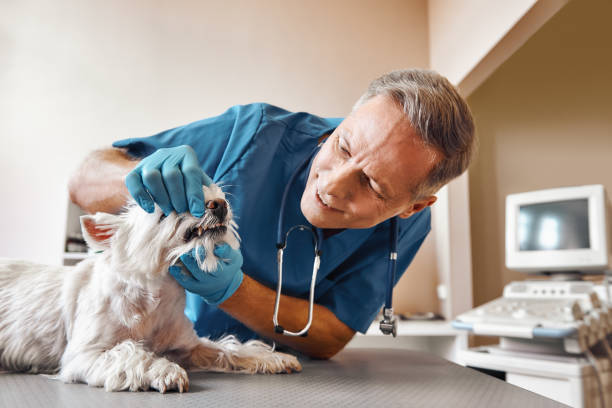 Best Emergency Tooth Extraction in Runnemede, NJ